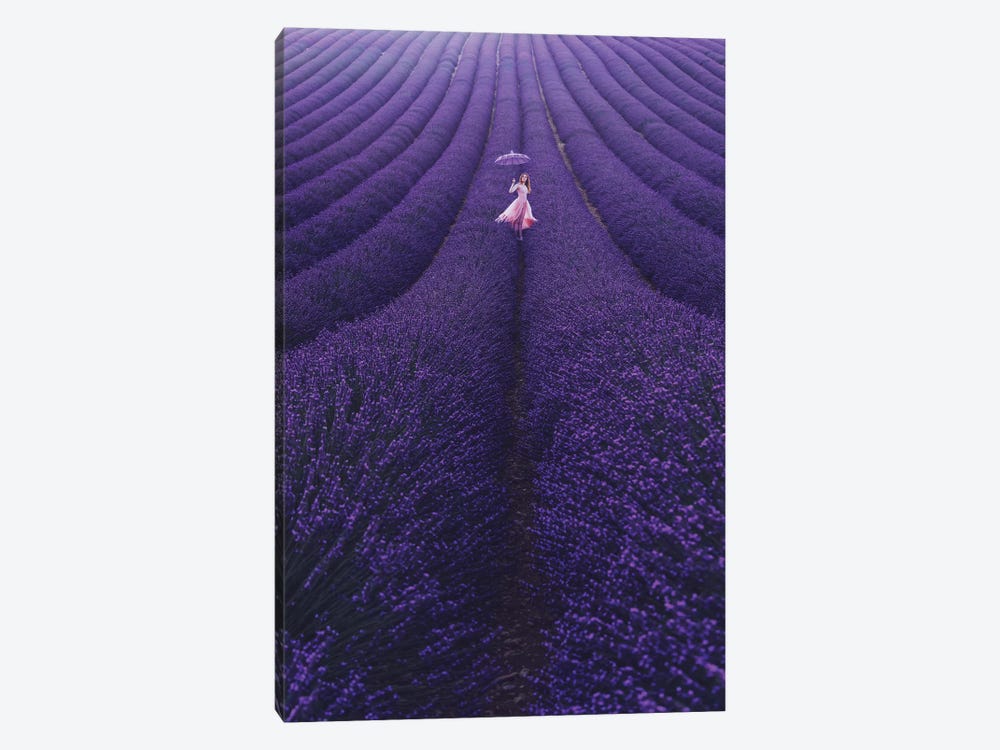 Lavender France by Hobopeeba 1-piece Canvas Print