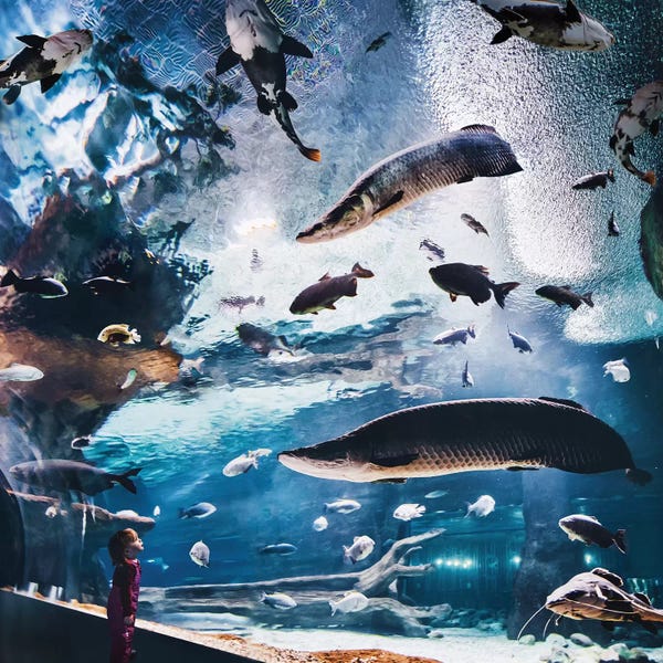 Exploration: Lost World by Hobopeeba