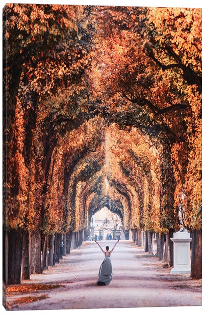 Autumn In Vienna Canvas Art Print - Austria Art