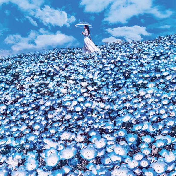 Hillsides: Miyazaki by Hobopeeba