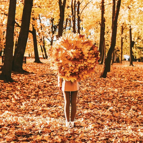 Hobopeeba: Autumn Magic by Hobopeeba