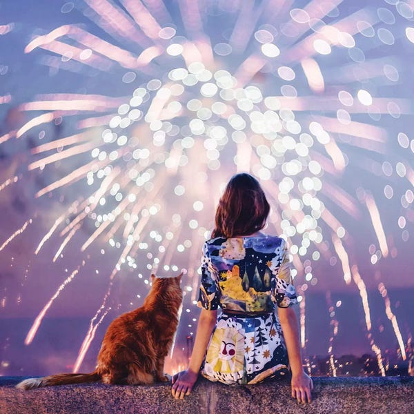 Fireworks: Night. Magic. Fireworks by Hobopeeba