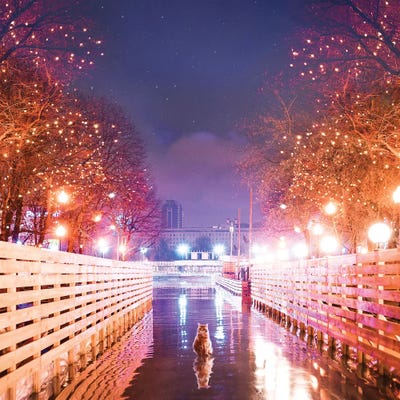 No. I Do Not Feel Cold. by Hobopeeba canvas print