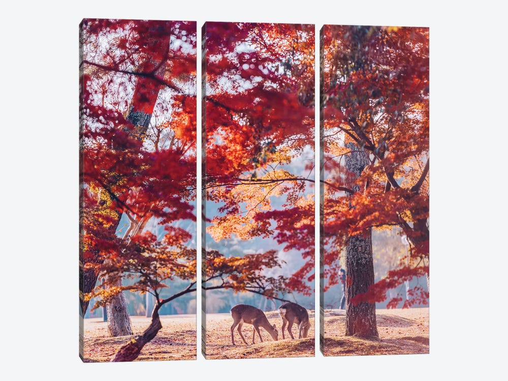 Autumn Sunrise In Nara by Hobopeeba 3-piece Canvas Art