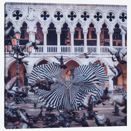 Pigeons Canvas Print #MKV81} by Hobopeeba Canvas Print