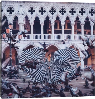 Pigeons Canvas Art Print - Column Art