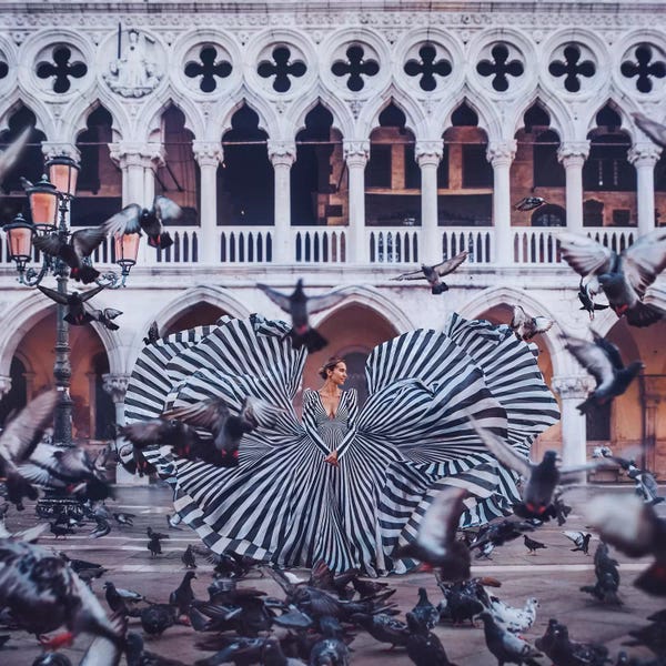 Pigeons