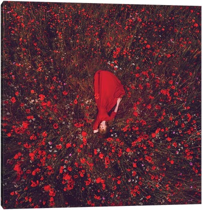Poppies Field Canvas Art Print - Monochromatic Photography