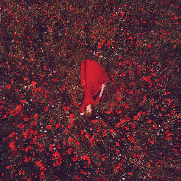 Sleeping & Napping: Poppies Field by Hobopeeba