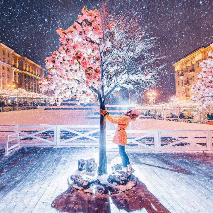 Spring-Winter Tree