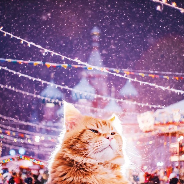Hobopeeba: St. Basil's Cathedral And Kotleta by Hobopeeba