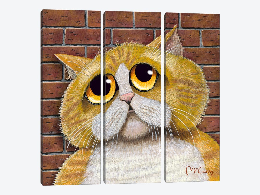 Cat by Mike McCrary 3-piece Art Print