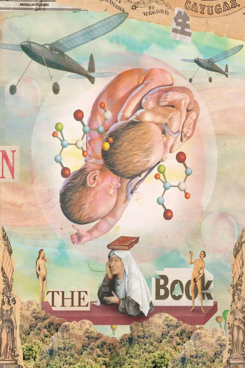 The Book by Marcel Lisboa wall art