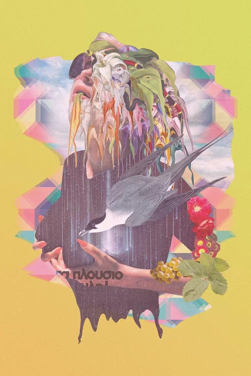 Pleasure by Marcel Lisboa wall art