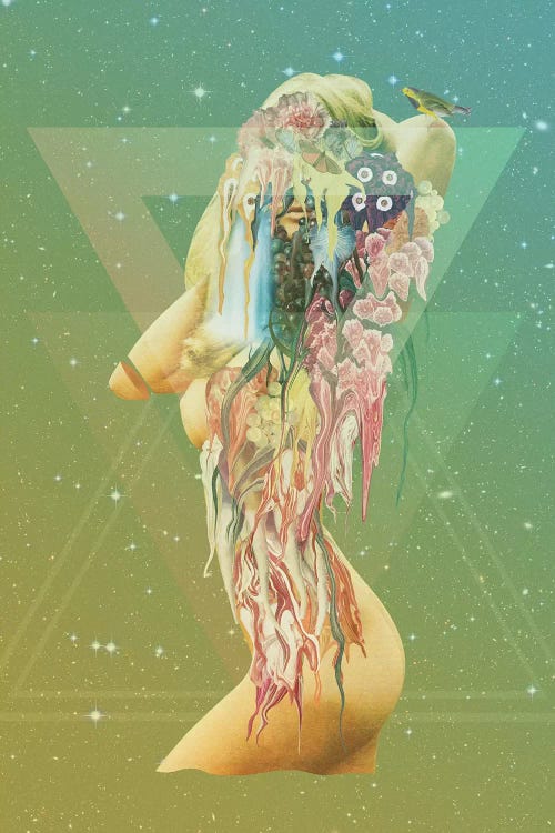 Stripped Of Vanity by Marcel Lisboa wall art