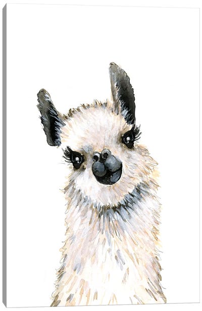 Llama Canvas Art Print - Mercedes Lopez Charro