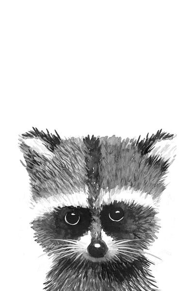 Racoon by Mercedes Lopez Charro canvas print