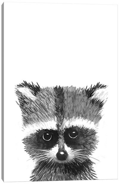 Racoon Canvas Art Print - Raccoon Art