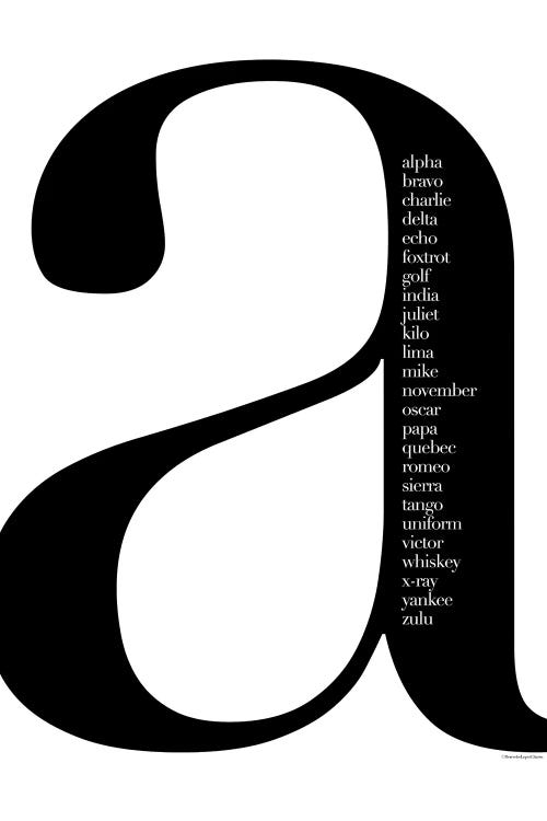 Alpha Bravo by Mercedes Lopez Charro wall art