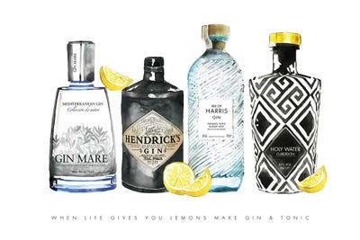 Gin