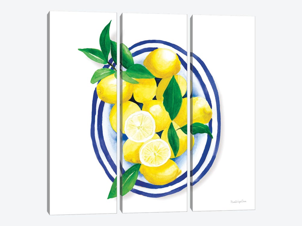Spanish Lemons I by Mercedes Lopez Charro 3-piece Canvas Art Print