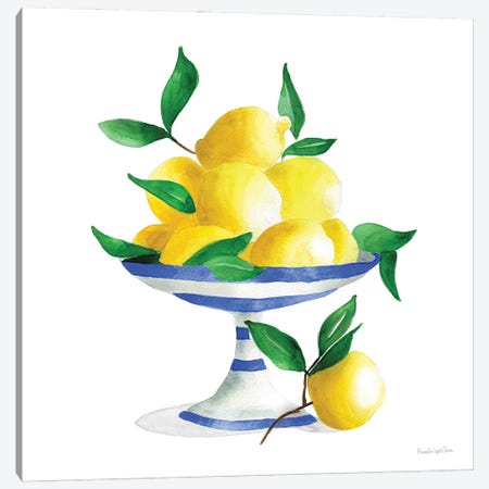 Spanish Lemons II Canvas Print #MLC185} by Mercedes Lopez Charro Canvas Art