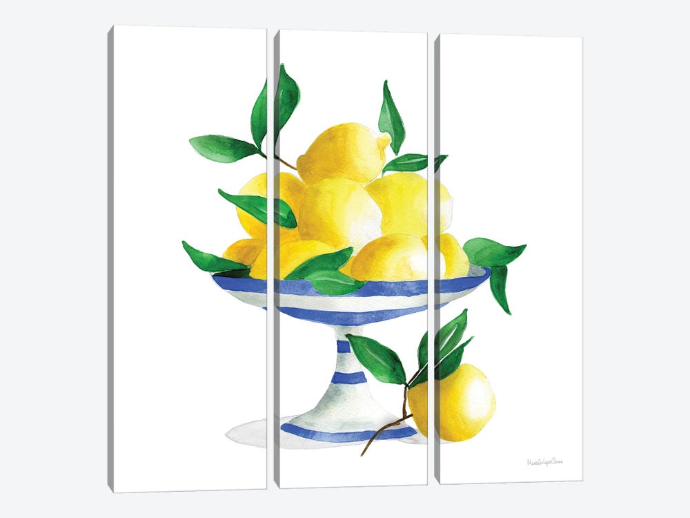 Spanish Lemons II by Mercedes Lopez Charro 3-piece Canvas Art