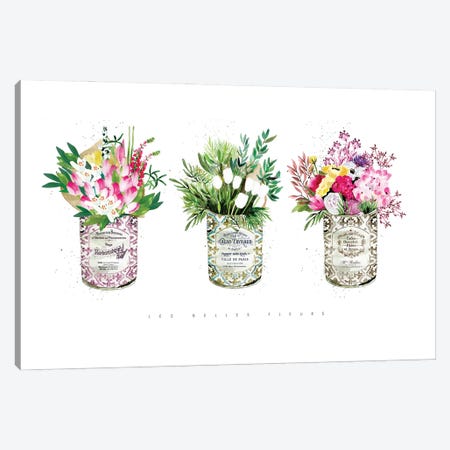 3 Vintage Cans With Mixed Florals Canvas Print #MLC199} by Mercedes Lopez Charro Canvas Artwork