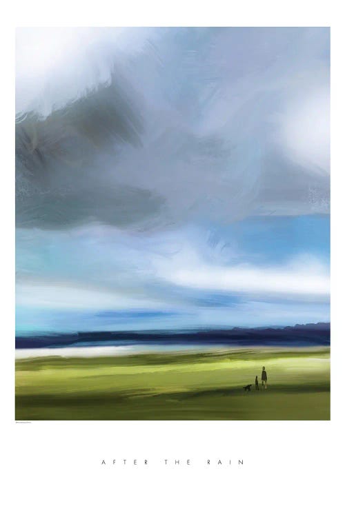 After The Rain by Mercedes Lopez Charro wall art