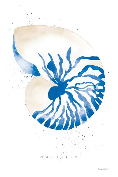 Nautilus by Mercedes Lopez Charro framed wall art