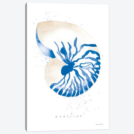 Nautilus Canvas Print #MLC247} by Mercedes Lopez Charro Canvas Art Print