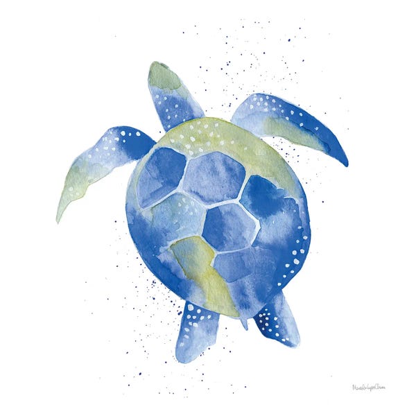 Turtles: Sea Turtle by Mercedes Lopez Charro