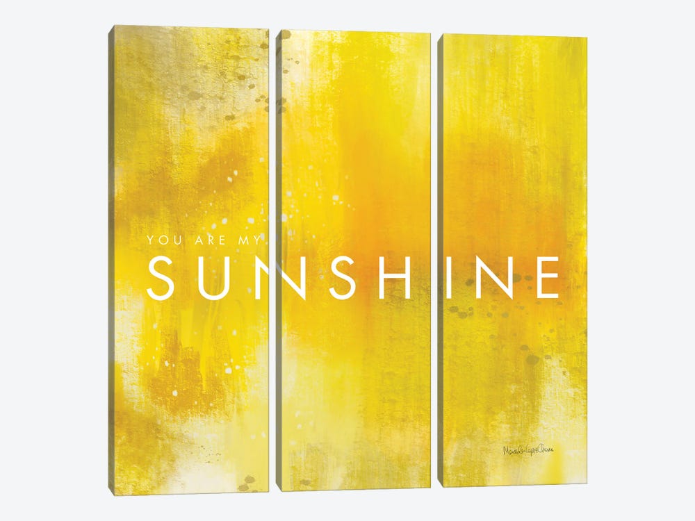 Sunshine by Mercedes Lopez Charro 3-piece Canvas Wall Art