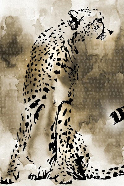Cheetahs: Cheetah by Mercedes Lopez Charro