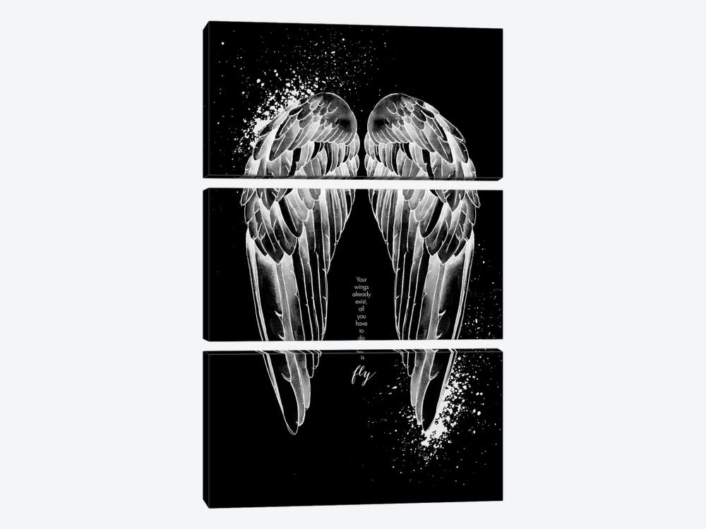Wings Invert by Mercedes Lopez Charro 3-piece Art Print