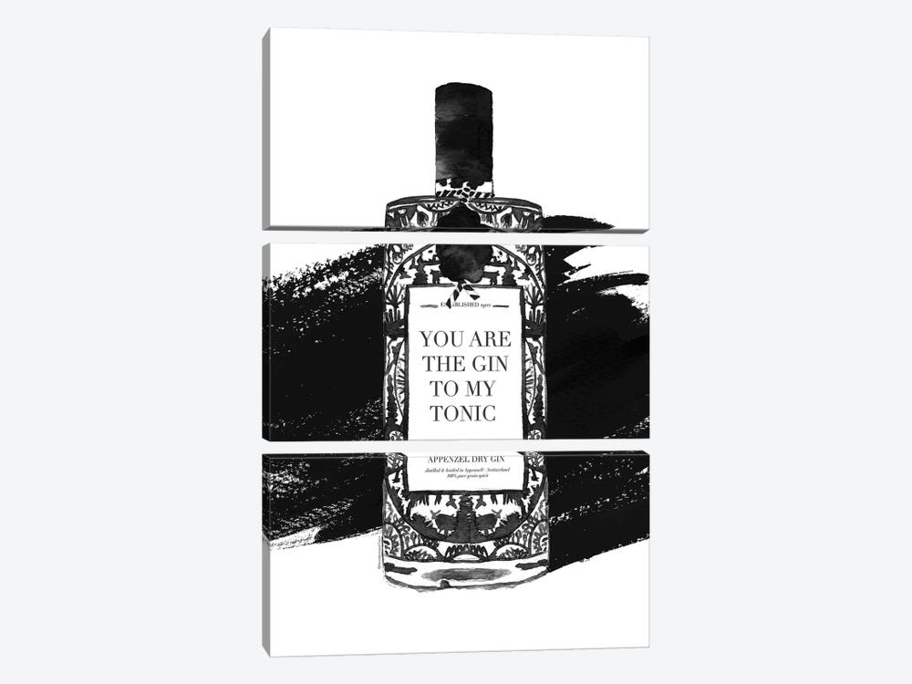 Gin To My Tonic by Mercedes Lopez Charro 3-piece Canvas Artwork