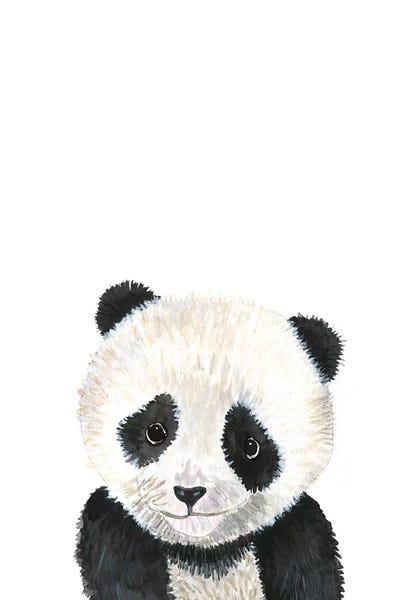 Panda Baby by Mercedes Lopez Charro acrylic art print