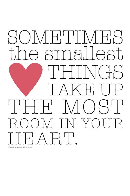 Sometimes The Smallest by Mercedes Lopez Charro wall art