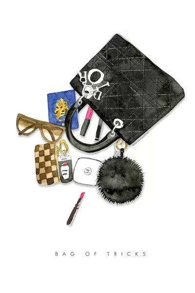 Bag Of Tricks by Mercedes Lopez Charro acrylic art print