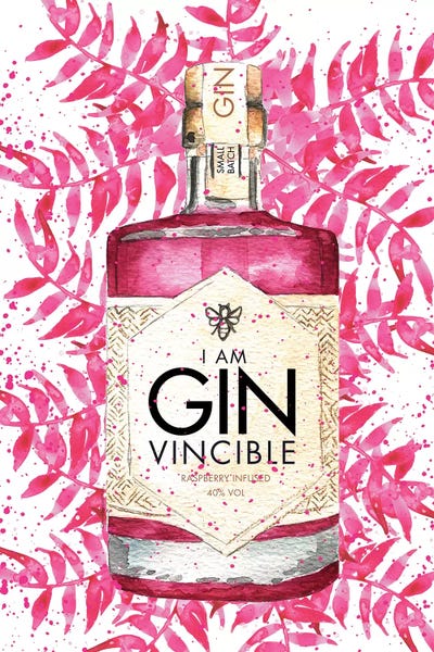 Gin: I Am Ginvincible by Mercedes Lopez Charro