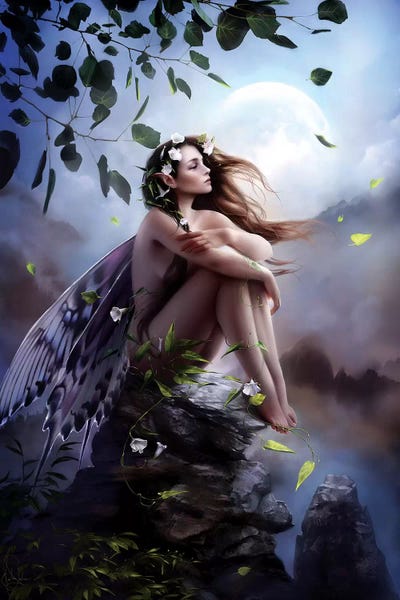 The Secret Lives Of Fairies: Isra by Melanie Delon