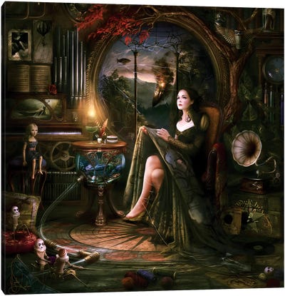 Trapped Canvas Art Print - The Secret Lives of Fairies