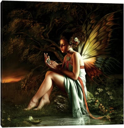 Where Are You Canvas Art Print - The Secret Lives of Fairies