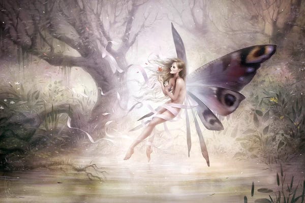 The Secret Lives Of Fairies: Amelia by Melanie Delon