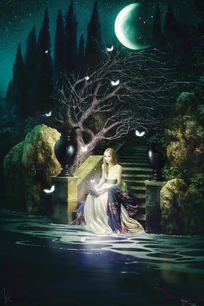 Ten Wishes by Melanie Delon framed canvas print