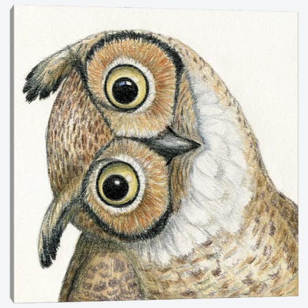 Owl Canvas Print #MLH100} by Miri Leshem-Pelly Canvas Art