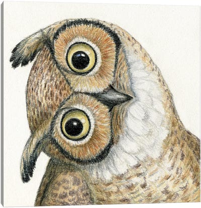 Owl Canvas Art Print - Miri Leshem-Pelly