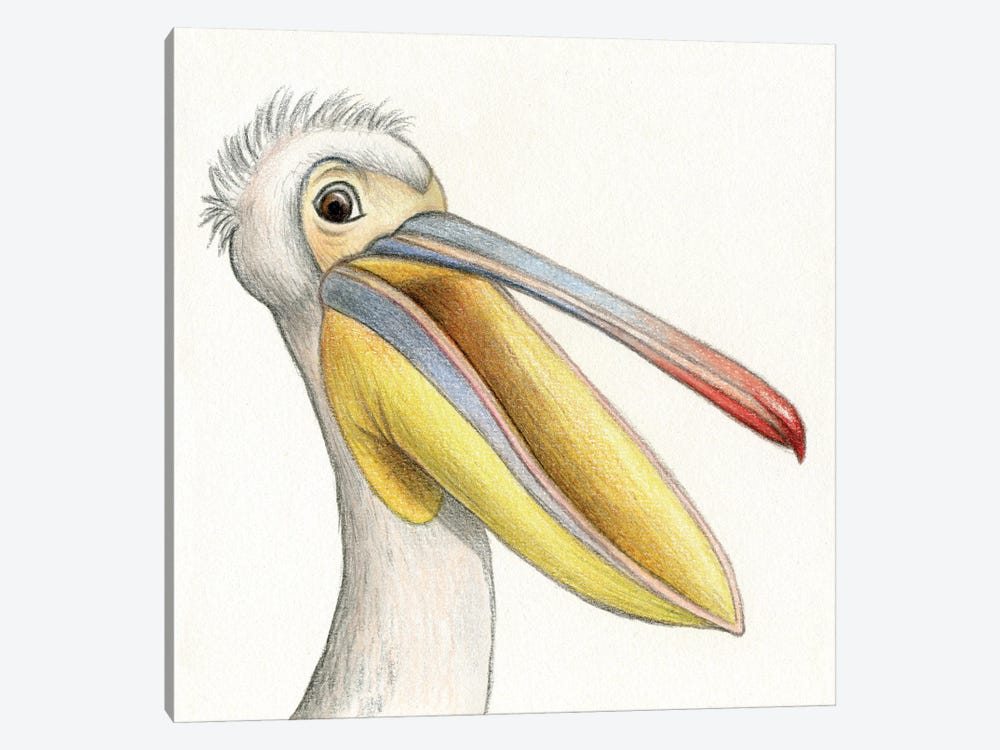 Pelican by Miri Leshem-Pelly 1-piece Canvas Print
