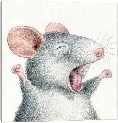 Mouse Canvas Art Print - Miri Leshem-Pelly