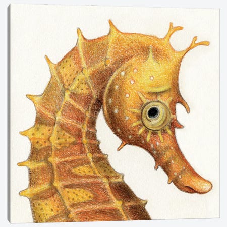 Seahorse Canvas Print #MLH105} by Miri Leshem-Pelly Canvas Print